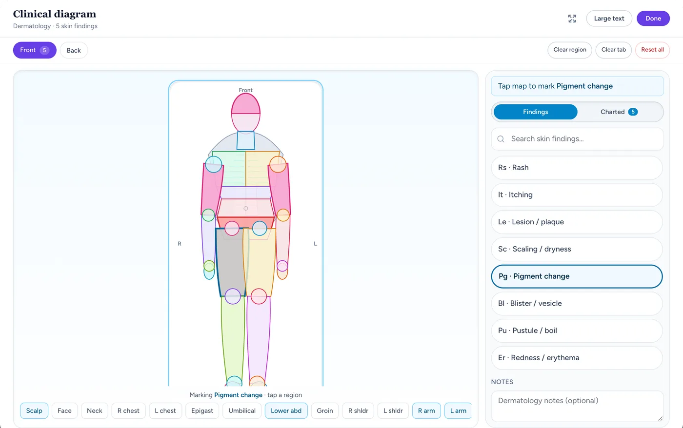 Medabha dermatology full-body chart with rash, redness and pigment change findings marked by region